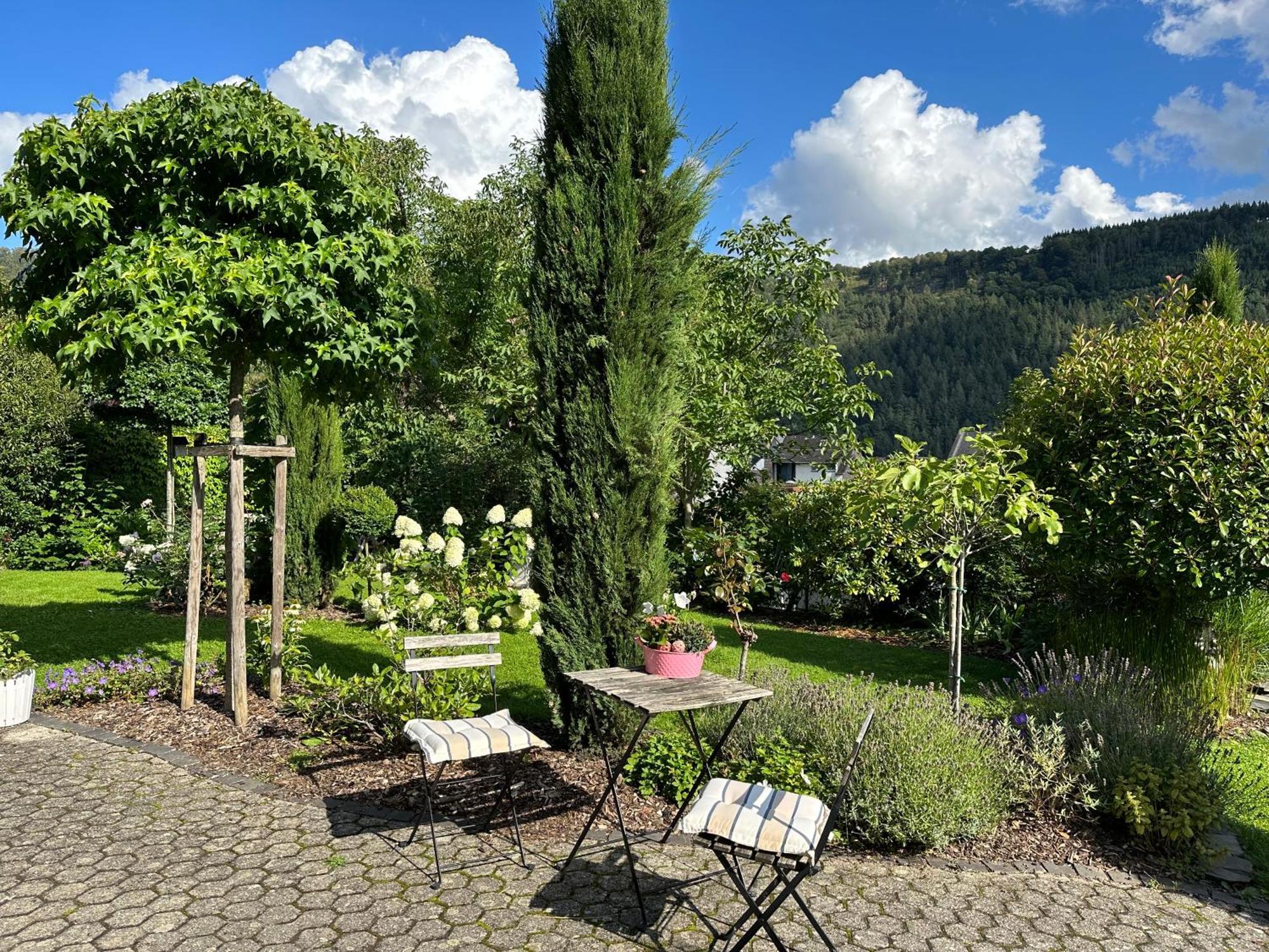 York Cottage Garden Traben-Trarbach Εξωτερικό φωτογραφία